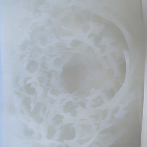 A Stalker In The Leaves