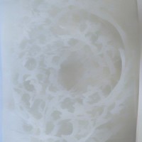 A Stalker In The Leaves_Ninja Brotherhood