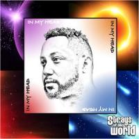 No Answers_Strays Of The World