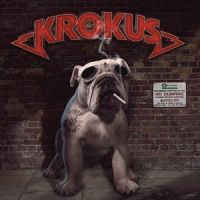 Go Baby Go_Krokus