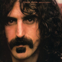 Don't Eat The Yellow Snow_Frank Zappa