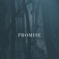 Promise Ver.3_Akira Yamaoka