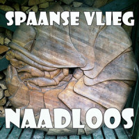 Spaanse Vlieg_Harry Sacksioni