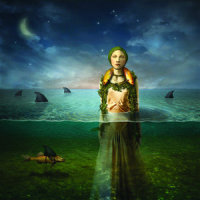 My Assassin_The Bled