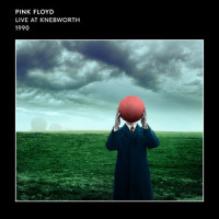 Comfortably Numb (Live Solo) [Pulse]_Pink Floyd