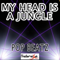 Beat My Head_Mike Blais