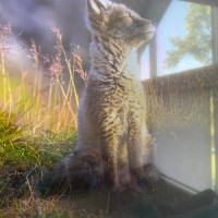 Blues Garage_Michael Borner