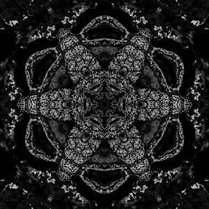 Whoring Streets (Album Version)