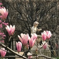 Spring_Holy Blood