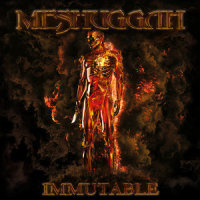The Abysmal Eye_Meshuggah