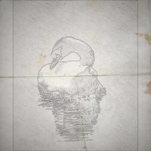 To The Ones Who Have Failed