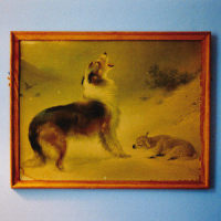 Day Five_Explosions In The Sky