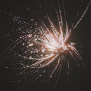 Lamentations of a War Machine