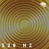 Heightened Awareness_Steve Morse