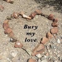 Chasing love_Bury My Glory