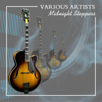 Terraplane Blues_Robert Johnson