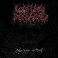 The Glass Womb_Mors Principium Est