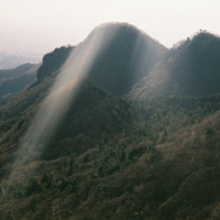 Good Old Fashioned (Solo)_Some Genius