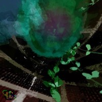 Forte In D Minor(Revised)_Max Attack