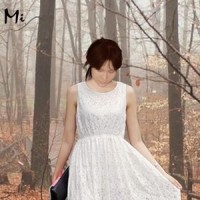 GIẤC MƠ CHAPI_Trần Hữu Trọng