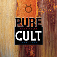 Edie (Ciao Baby)_The Cult