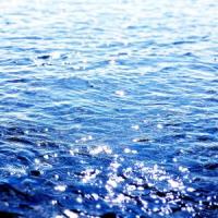 Wind Of C_Oziel - Scorpion