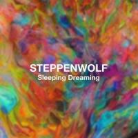Rock Me_Steppenwolf