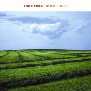 Bees And Butterflies