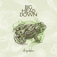 Amphibia_Patrick Rondat