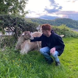 Guardian Of The Gates