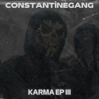 when bug fly in house_Muth