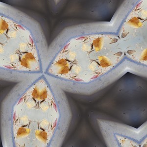 Shining In The Moon's Glow