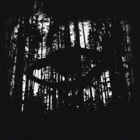 Forest Maiden (Fingerstyle Guitar)_Sergey Eybog