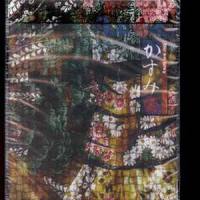 Fukai_Dir En Grey
