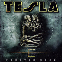 Pvt Ledbetter_Tesla