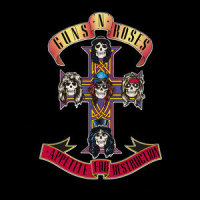 Paradise City 2 Guitars_Mr D