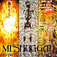 Inside What's Within Behind_Meshuggah