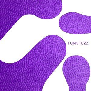 Funk Fuzz Fried