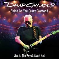 Shine On You Crazy Diamond Parts I - V_Pink Floyd