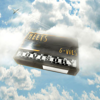 Дурак И Молния (Gitarin)_Король и Шут