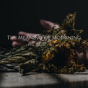 In Absence Of Longing