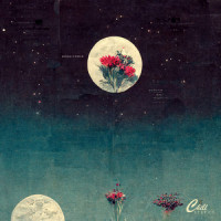 Moonflower_Plini