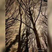 For That Second_Rob Scallon