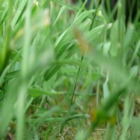 Отражение_Неботошнит