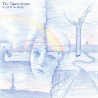 Second Skin_The Chameleons