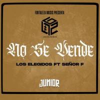 Se Ven_Dvl Art