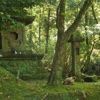 Piano Song_A Cursive Memory