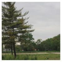 Light In My Eyes_Scarlet Resonance