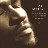 Buckdancers Choice-Ragtime Guitar_Taj Mahal
