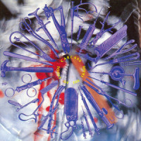 Hepatic Tissue Fermentation Ii_Carcass